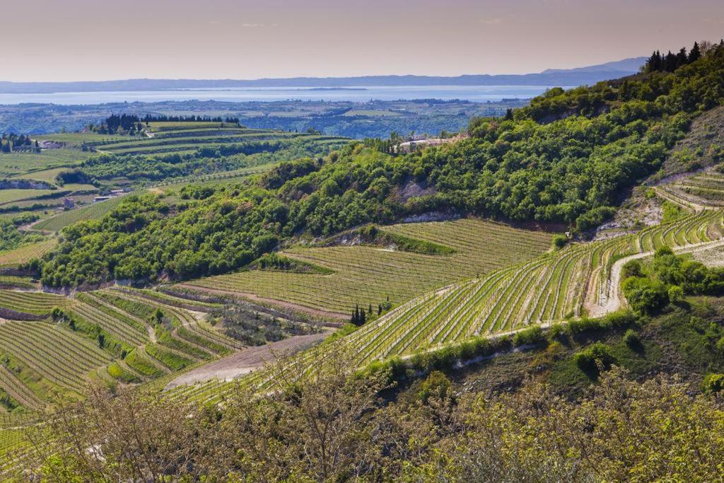 לינה וארוחת בוקר SantʼAmbrogio di Valpolicella La Grande Casa Valpolicella מראה חיצוני תמונה